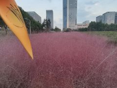 -南京奥林匹克体育中心-体育馆