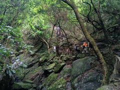 -梧桐山风景名胜区