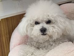 -MOI COFFEE(江山汇悦山府店)