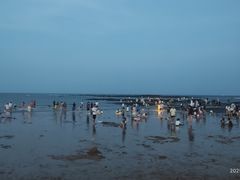 -日照灯塔风景区