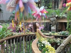 -正佳雨林生态植物园