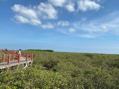 -北海金海湾红树林生态旅游区