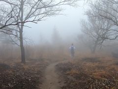 -阳台山自然风景区