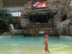 -杭州开元森泊度假乐园