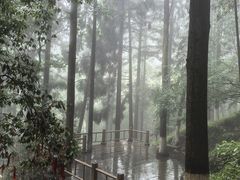 -莫干山风景区