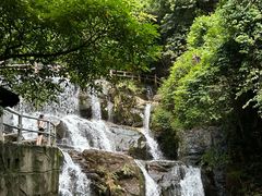 -鼎湖山风景区