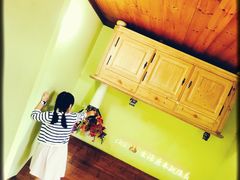 -金山农民画村-枫泾波兰倒置屋