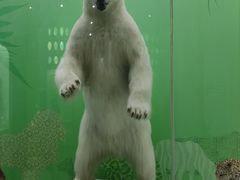 -国家自然博物馆