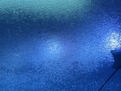 -珠海长隆海洋王国