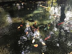 -卡塞拉自然公园