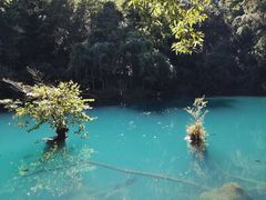 -1973继光香香鸡(曲阳路店)