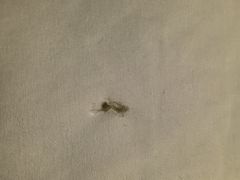 -东莞松山湖凯悦酒店