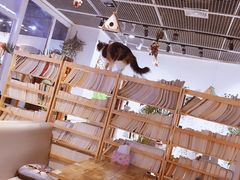 -小时光咖啡馆(开森度假森林店)