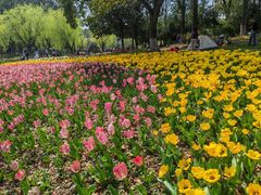 -上海鲜花港