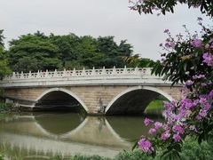 -海珠湖公园