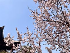 -香山公园