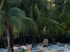 -亚马逊丛林水乐园