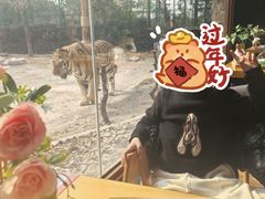 -上海野生动物园老虎餐厅