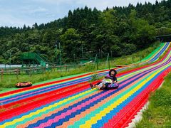 -武陵山森林公园
