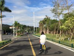 -黄金海岸环岛路