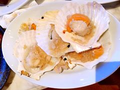 大扇贝-君悦酒店·乐厨·高空自助餐(青年大街店)