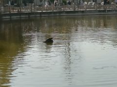 -成都南湖公园