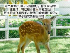 -老鼎万春卤菜(五代传承创始老店)