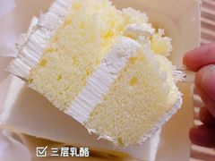 冰乳酪-卡萨米亚动物奶油生日蛋糕(新都汇店)