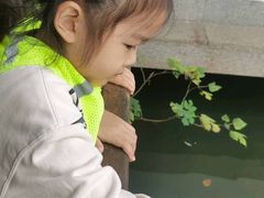 -杭州龙井幼儿园