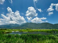-腾冲北海湿地