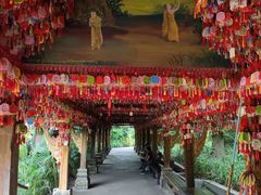 -曼听御花园