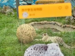 -青藏高原野生动物园