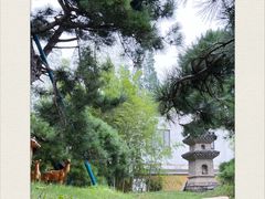 -龙华寺