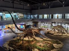 -自贡恐龙博物馆