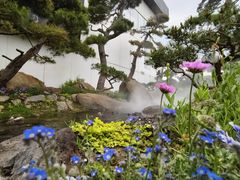 -罗红摄影艺术馆