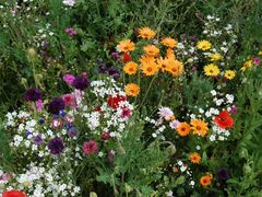 -海南鉴湖蓝湾高尔夫球会