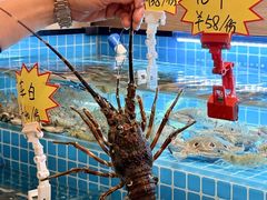 -汕头龙光喜来登酒店