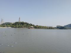 -顺峰山公园