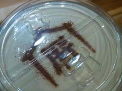 奶霜·不知春-厝内小眷村(天河南一路店)