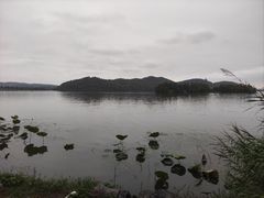 -东湖落雁景区