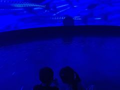 -同济大学四平路校区深海探索馆