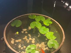 -曲水兰亭(北京四惠店)