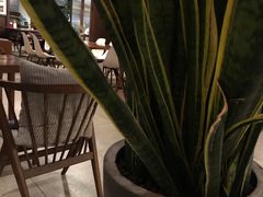 -VESH COFFEE(定西路店)