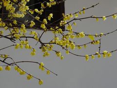 -万寿八仙宫