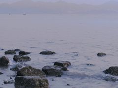 -深圳湾公园(南山区)