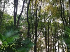 -重庆彩云湖湿地公园