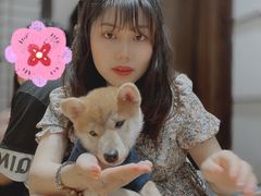 -逗柴咖啡屋·狗咖猫咖宠物桌游