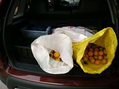 -小六农家乐(崇明西沙湿地店)