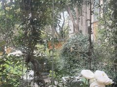 -谷咖啡·鲜花绿植花园餐厅