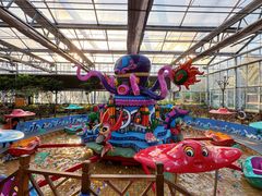 -南宫五洲植物乐园